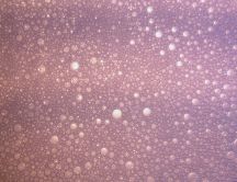 Bubbles texture