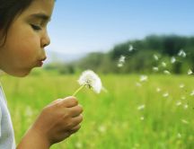 Child with a dandelion