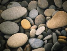 Various types of pebbles