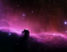 Beautiful horsehead nebula