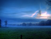 Mist over the field