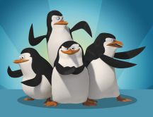Madagascar movie - the Penguins