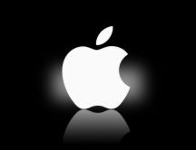 White Apple - logo HD wallpaper