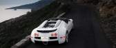 White Bugatti Veyron sport on the road