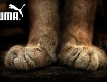 Puma brand - paws of the mountain lion
