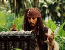 Johnny Depp as Jack Sparrow - Pirates of the Caribbean