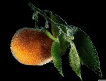 Tangerine underwater - an orange fruit full of vitamins