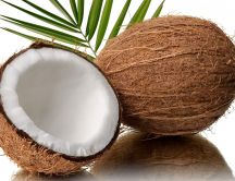 One and a half coconut HD wallpaper