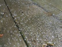 Rain - drops of water on the wood
