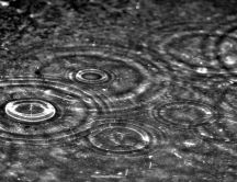 Water circles on asphalt - it's raining