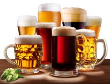 Choose the favorite glass of beer HD wallpaper