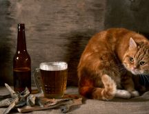Cat - Who eat my fish and drink my beer?