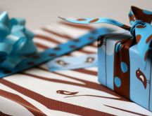 A small gift - a ribbon with dots HD wallpaper