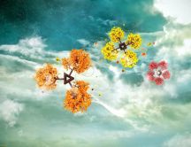 Four seasons on the sky HD abstract wallpaper