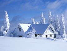 Snowy white house - snow is everywhere HD wallpaper