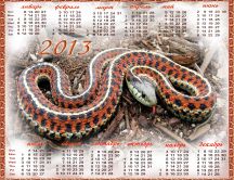 Calendar 2013 - The year of the Water Snake