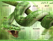 Green snake - calendar 2013 HD wallpaper