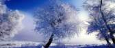 Winter time - play of colors - white and blue HD wallpaper