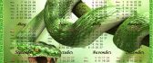 Green snake - calendar 2013 HD wallpaper