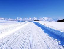 Plowed snow road