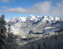 Winter landscape - snowy mountain top