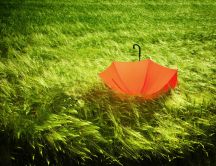 An orange umbrella in the middle of a green field