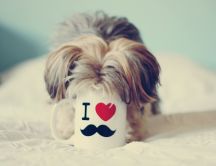 Dog loves coffee - mug loves mustache