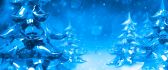 Pines formed from ice - winter HD wallpaper