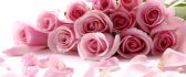 A gorgeous bouquet of pink roses HD wallpaper
