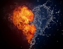 The heart - love between water and fire