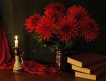 Red Daffodils and books - special night