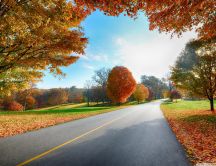 The line between spring and autumn - HD wallpaper