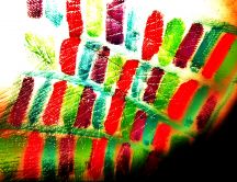 Artistic colorful stripes - red and green