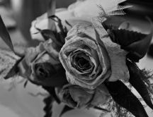 A bouquet of roses filled with memories - black and white