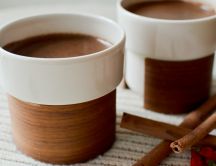 Hot chocolate with cinnamon - HD wallpaper