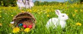Easter basket - spring time