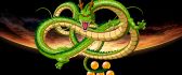 Dragon of Spirit - Shenron from Dragon Ball Z