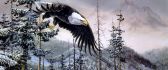 Drawing - eagle flying above the trees full of snow
