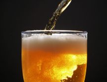 Summer drink - a refreshing beer