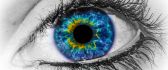 Beautiful blue eye - macro HD wallpaper