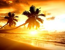 Bright sunlight - sunrise on the beach