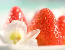 Season fruits - big red strawberries