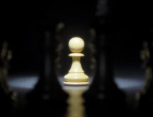The winner pawn at chess - white piece