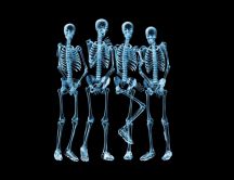 Funny shy skeletons - HD wallpaper