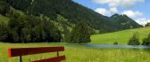 Red bench on a green field - nature HD wallpaper