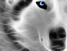 Digital art - a beautiful dog - Husky