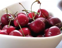 A giant bowl full of cherries - HD summer fruit