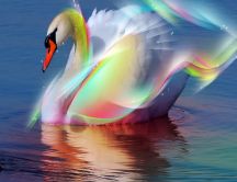 A beautiful swan shining like a rainbow