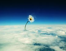 Abstract flower over the clouds - HD wallpaper