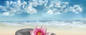 Pink lily flower and spa rocks - relaxing summer time